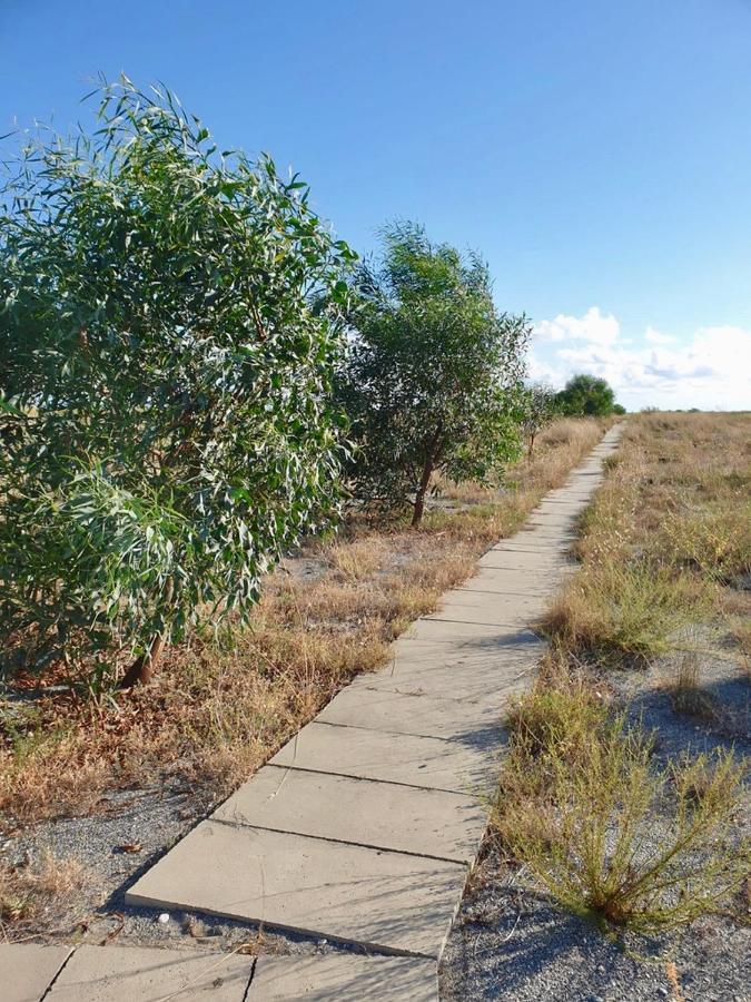 فيلا Vista Mare Su Tre Piani Con Giardino فاليرنا المظهر الخارجي الصورة
